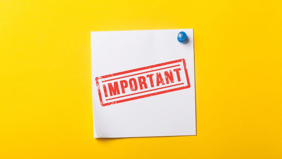 the importance of pillow link building